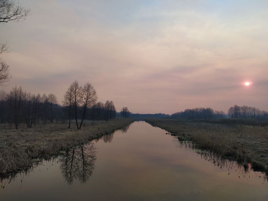 Земельна ділянка 42сот. під будівництво поруч р.Здвиж , с.Завалівка