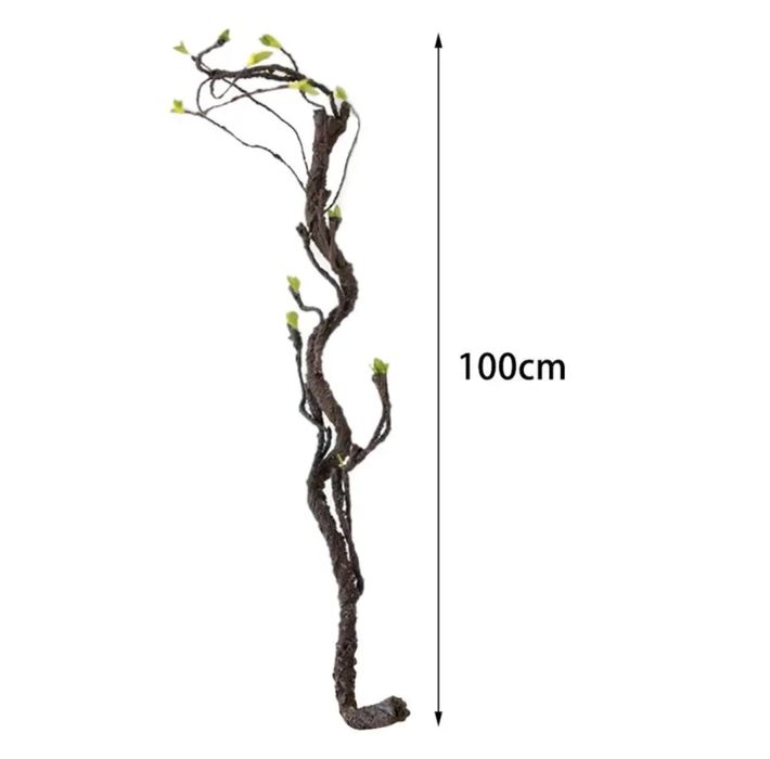 Ліана для тераріуму