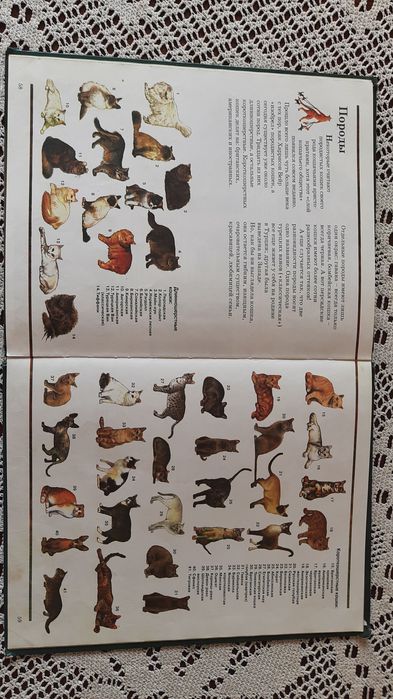 Интнреснейшая книга о кошках.