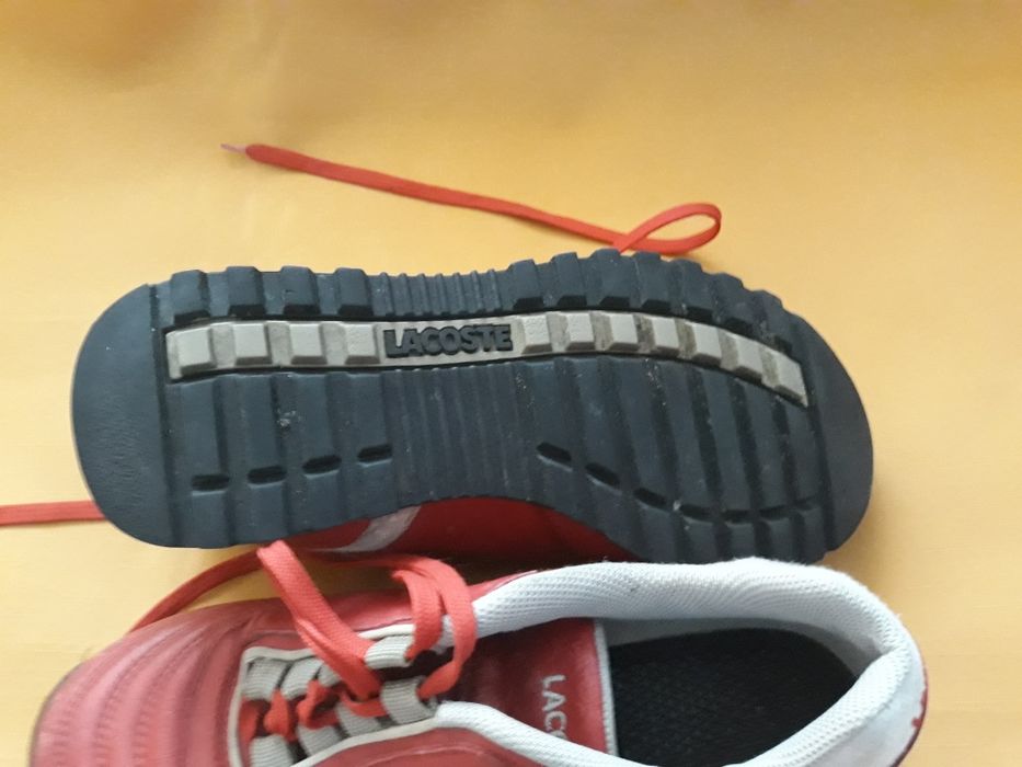 LACOSTE 37 buty sportowe ładne