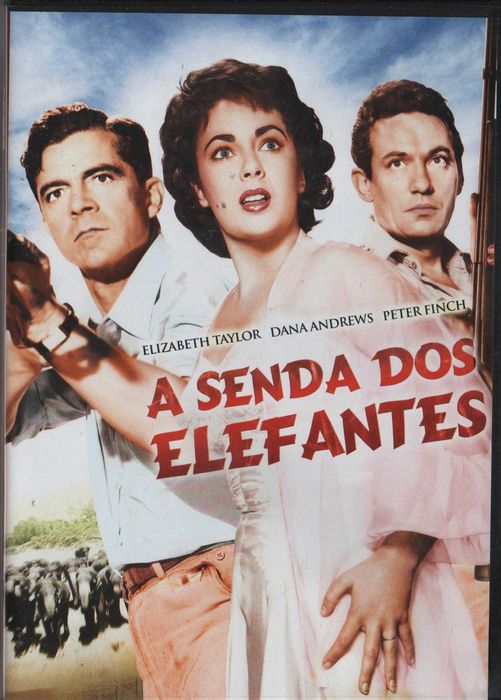 Dvd A Senda dos Elefantes - drama - Elizabeth Taylor