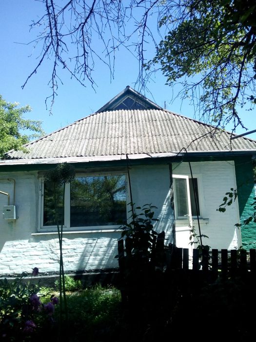 Продаж будинку, Черкаська область, село Драбівка