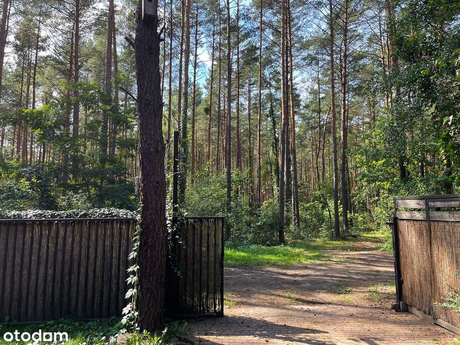 Dom – Radzymin, Rejentowka, powiat wołomiński - Więcej
