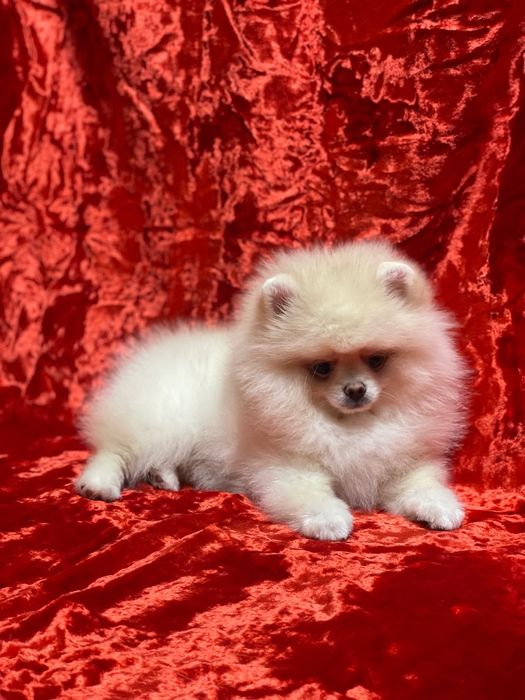 Наш ребёнок  ждёт именно вас