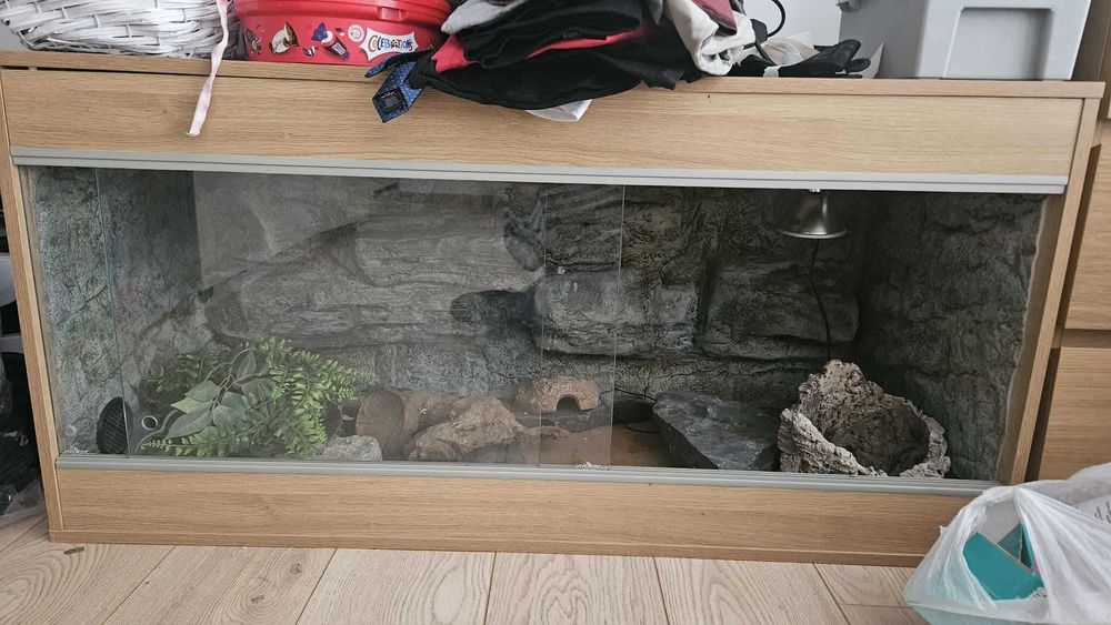 Sprzedam vivarium z akcesoriami