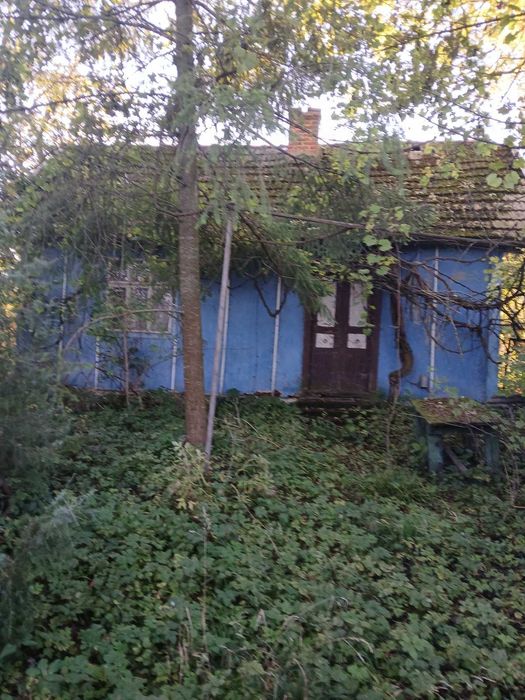 Земельна ділянка з будинком і літньою кухнею