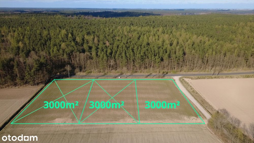 Działka przy lesie 850 m od jeziora – kawałek natury tylko dla Ciebie