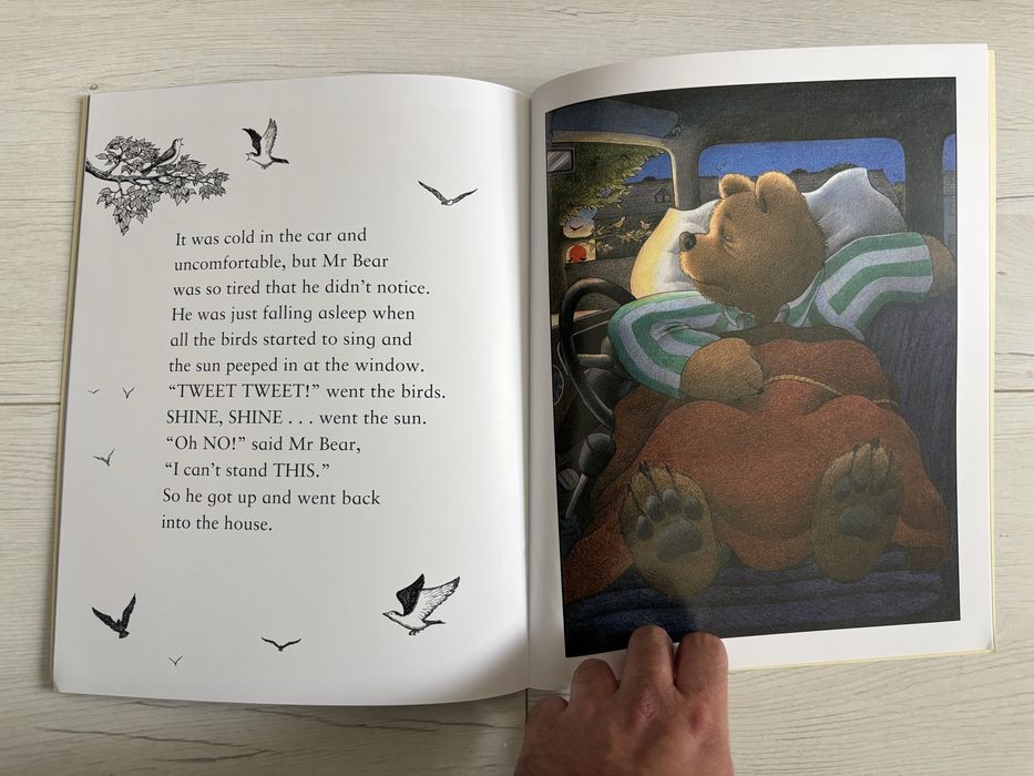 Livro Peace at Last
