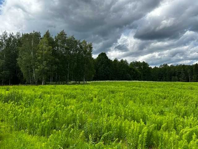 Działka na sprzedaż - BORKI podlaskie