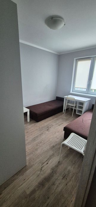 Pokój do wynajęcia Poznań ul. Karpia 23 dla 1 osoby lub 2