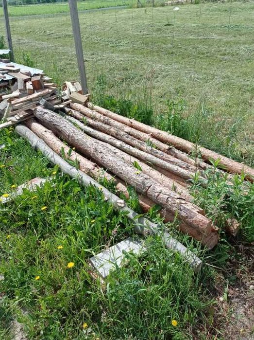 Deski szalunkowe i stemple.