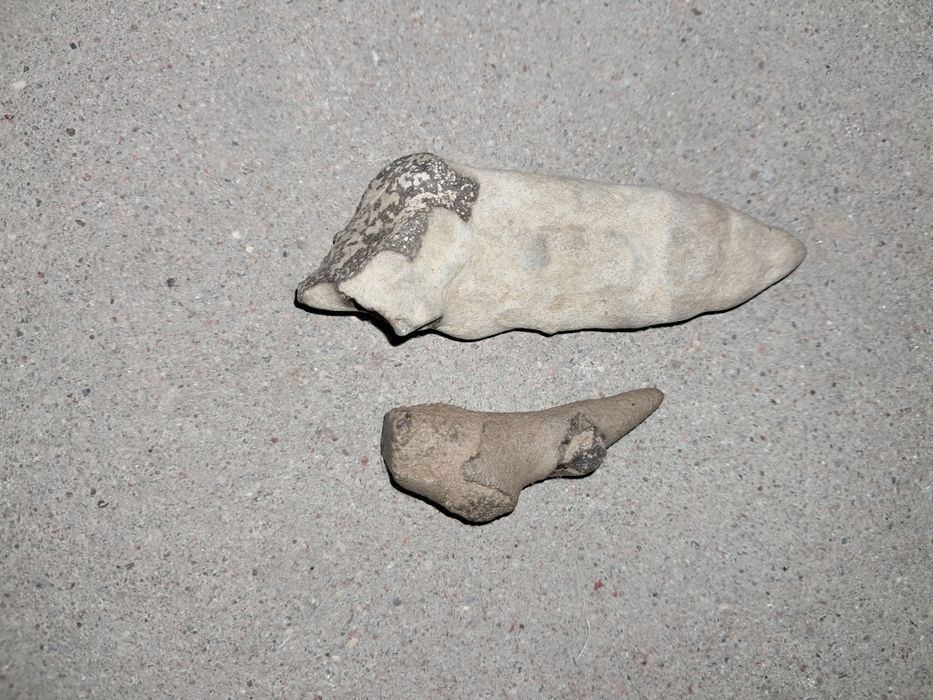 Skamieniałości, krzemienie i minerały