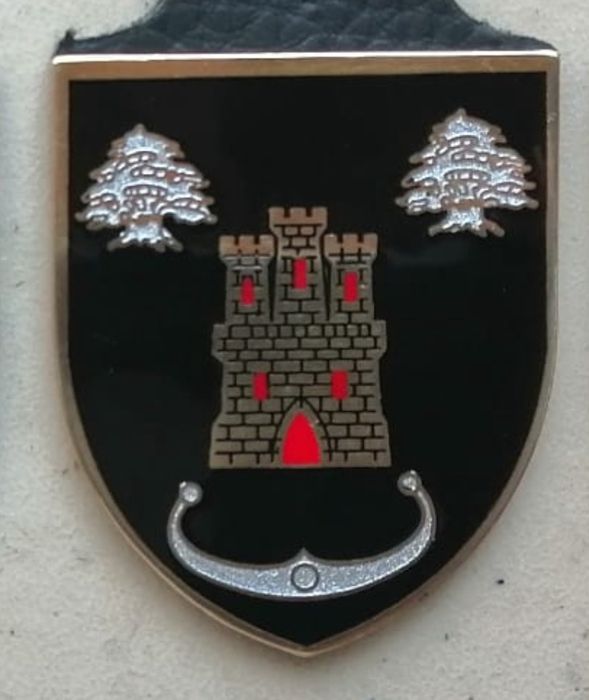 Cracha Militar Engenharia 11 unidade destacada