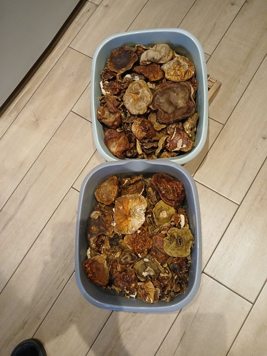 Grzyby  Prawdziwki suszone