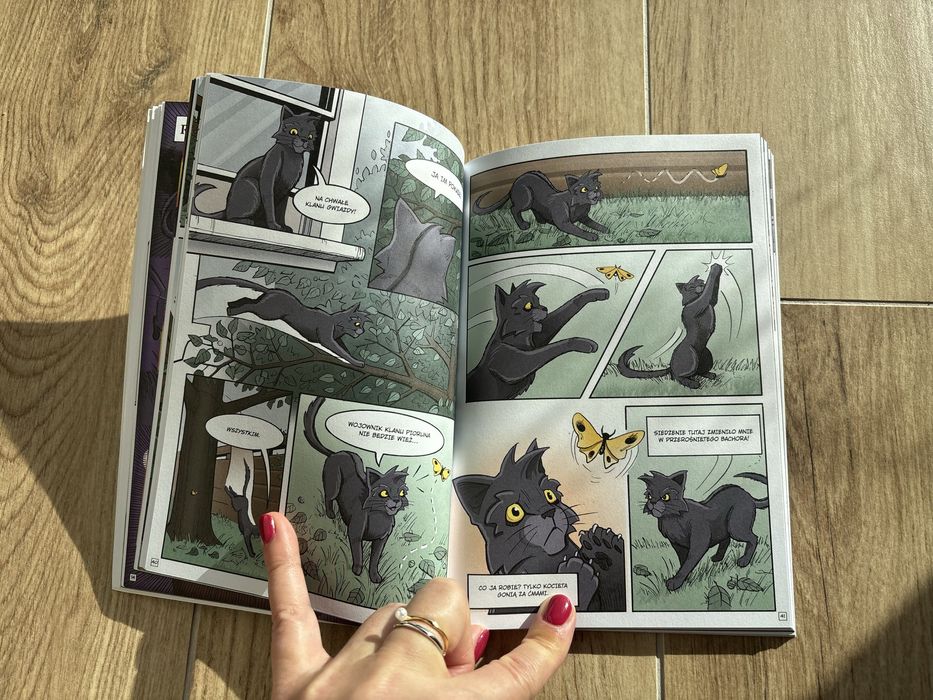 Ksiazka dla dzieci Wojownicy Szara pręga Zagubiony wojownik