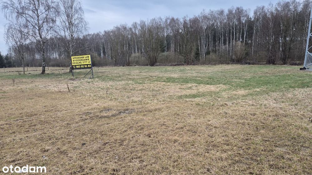 Działka inwestycyjna Zamość koło Bydgoszczy