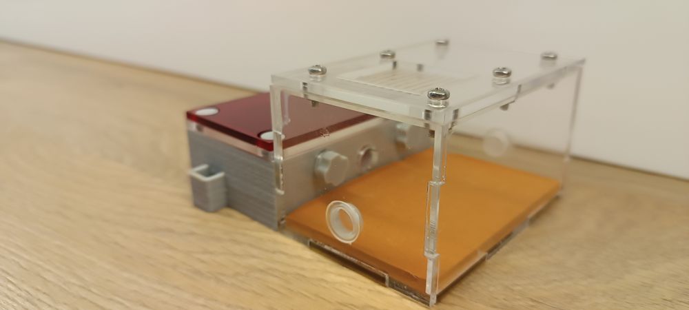 Formikarium dla mrówek