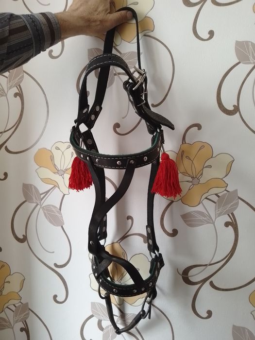 Вуздечка капейстра для коня