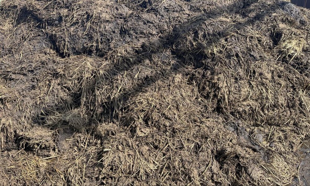 Sprzedam obornik krowi