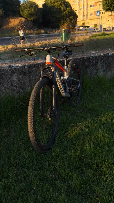 Bicicleta btt L