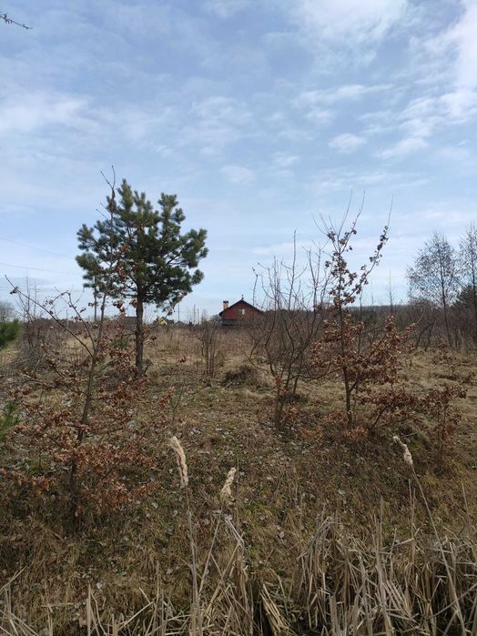 Продаж земельної ділянки  в селі Конопниця Львівської області