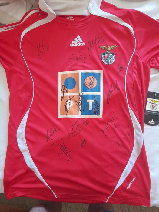 Camisola oficial do Benfica, epoca2006/7, autografada por Luisão, Nuno Gomes, Léo, Quim, katsouranis, Simão Sabrosa, etc.
