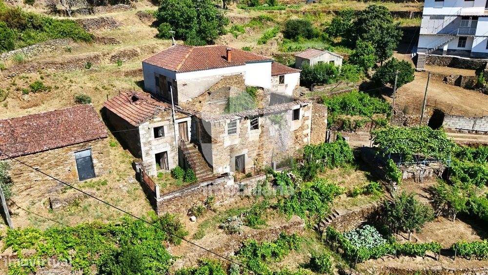Ruína + Terreno Agrícola