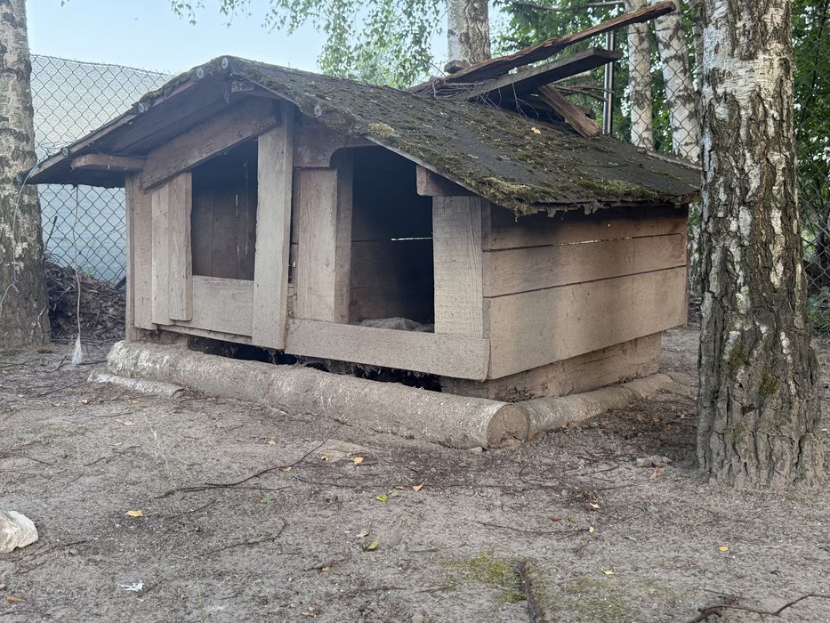 Buda dla psa podwójna