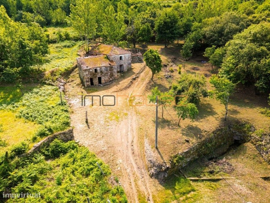 Quinta com Ribeiro e casa para restaurar - Terreno de cultivo