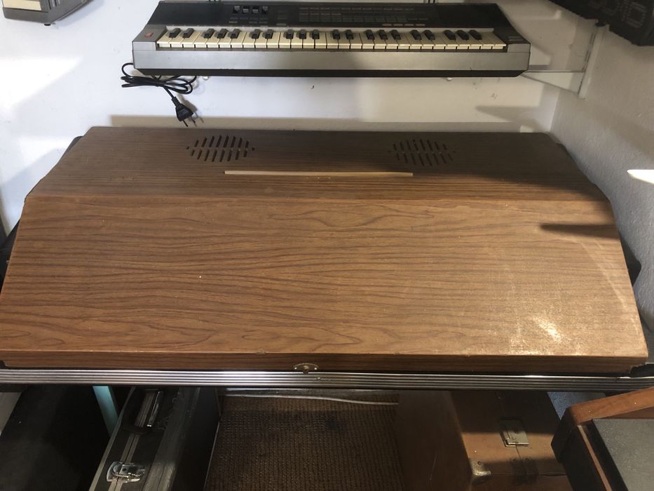 Eko Tiger Duo - Teclado / Órgão Analógico Vintage