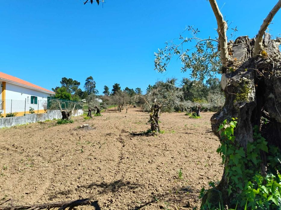 Terreno Urbano/Rústico para venda
