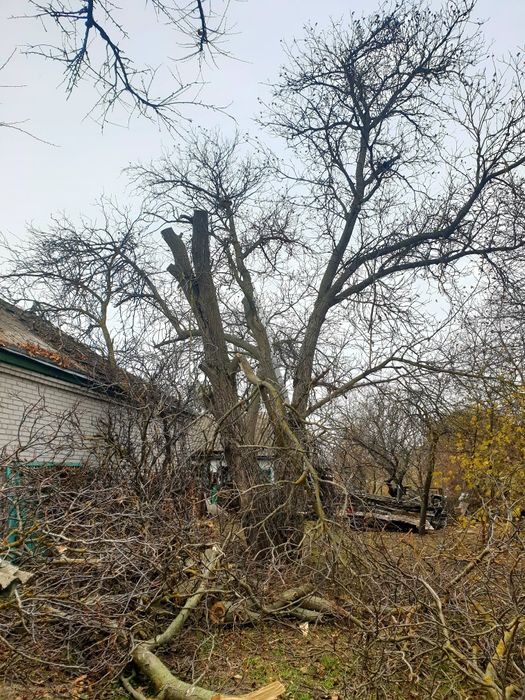 Обслуговування ділянок. СПИЛЮВАННЯ дерев. СКОШУВАННЯ трави тощо.