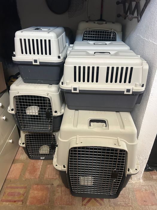 Caixas de transporte de animais homologadas