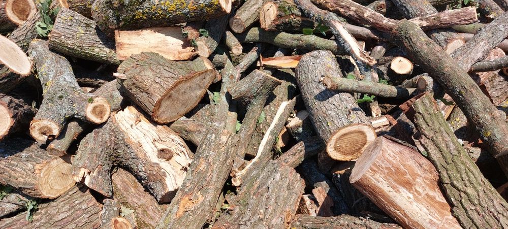 Дрова твёрдых пород колотые.