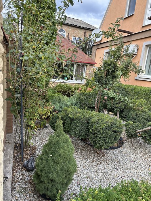 Продам Дім Провулок Польовий 10