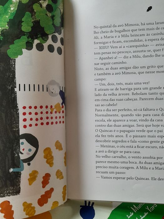 Livro O Menino que Não Sabia Brincar