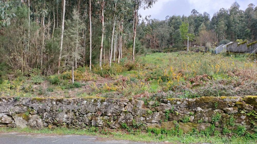 Vende-se terreno para construir moradia