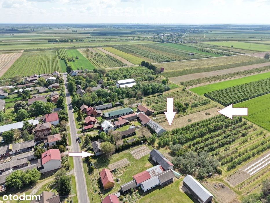 Działka budowlana 31ar z domem i budynkami - Widok 4
