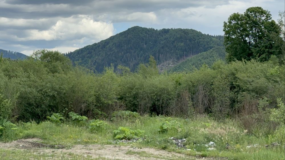 Продажться ділянка 1га землі с. Репинне