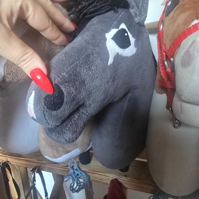 Hobby horse plus stajnia