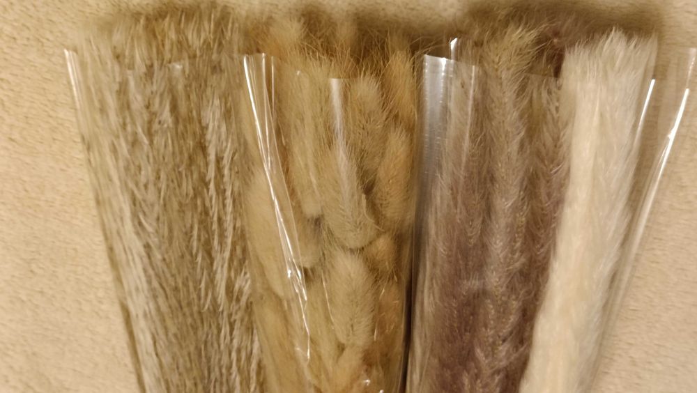 Набір 4 види пампасної трави