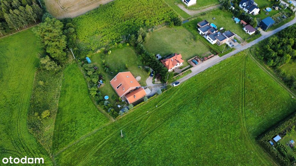Dom, Pilona