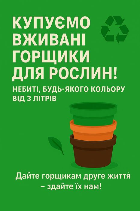 Клен  Globosum | Royal Red | Drummondii