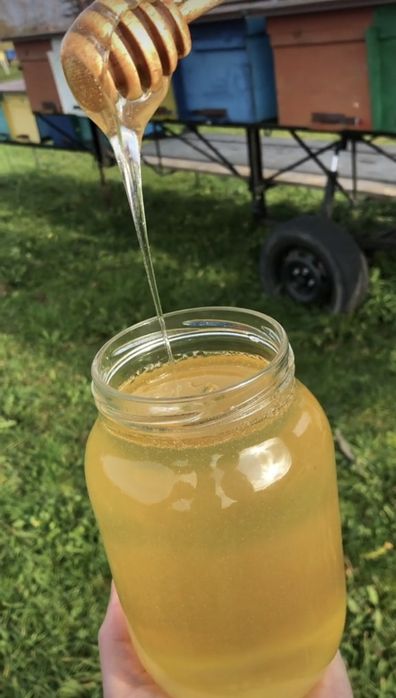 Натуральний Акацієвий мед та Соняшниковий з власної пасіки  2025 року