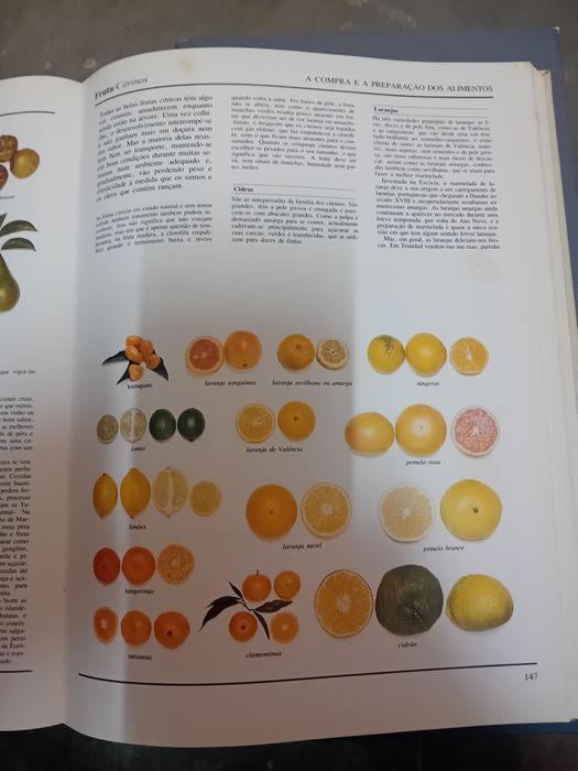 O grande livro ilustrado da culinária