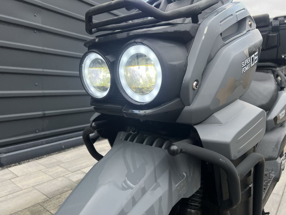 Forte unicorn ev