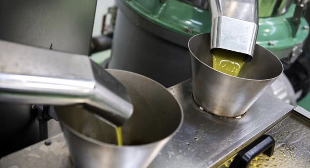 Azeite qualidade DOURO !! 0,3 de acidez! Só paga no acto da entrega.