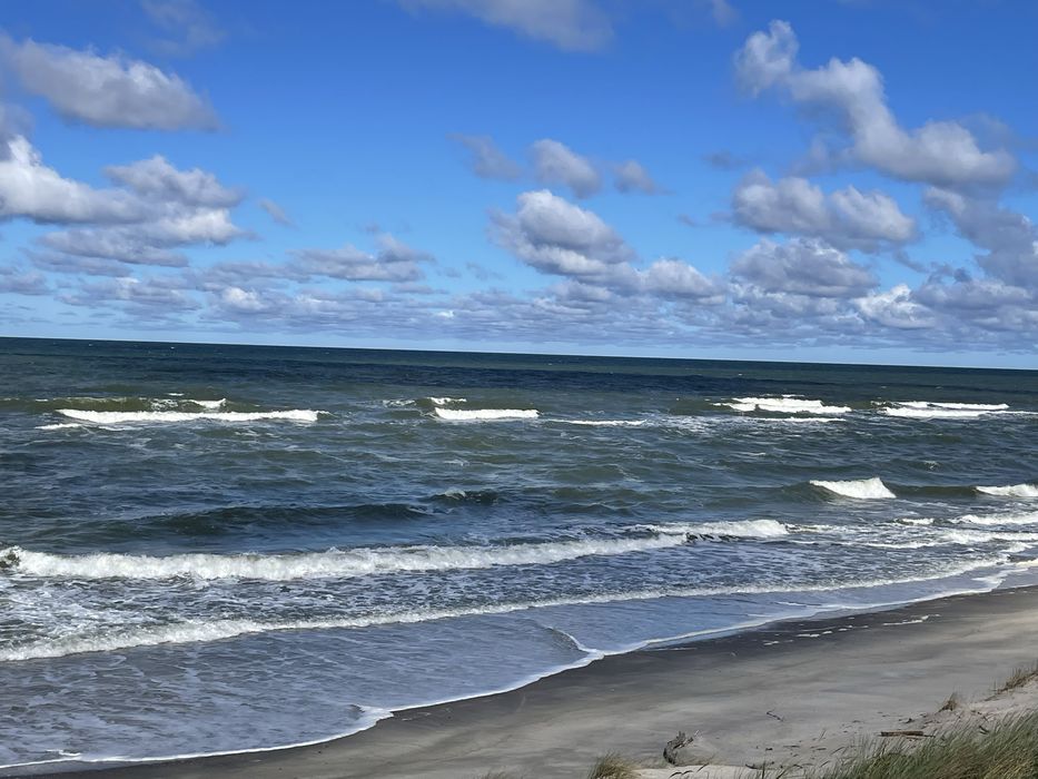 Domek na wynajem