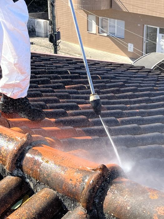 Limpeza de telhados, muros e fachadas e calçadas