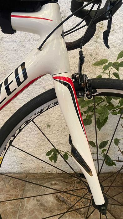 Specialized Roubaix SL4-Tam 54